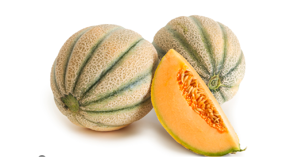Rock Melon
