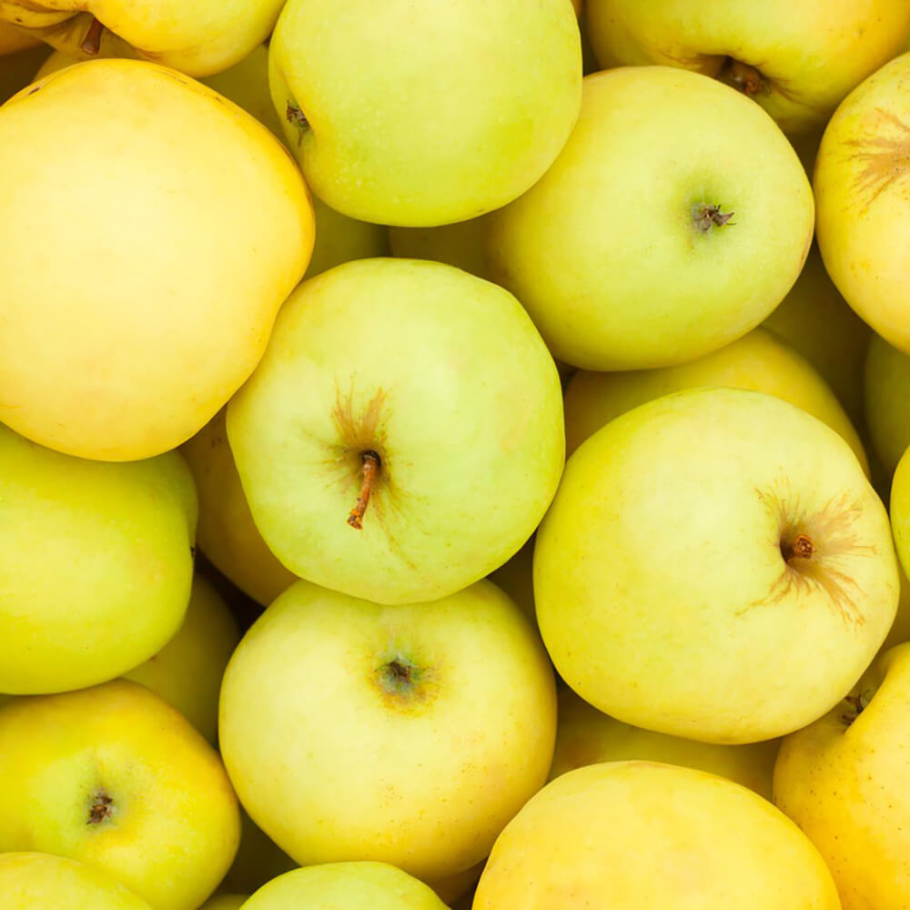 Apple Golden
